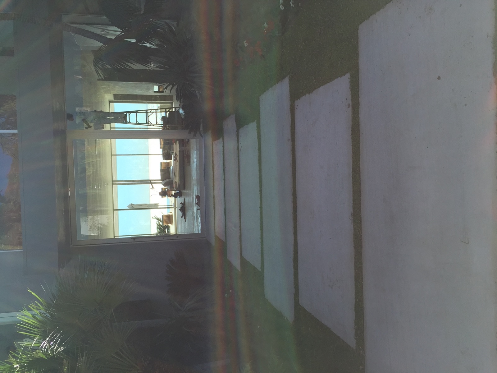 Coastal landscape with palms