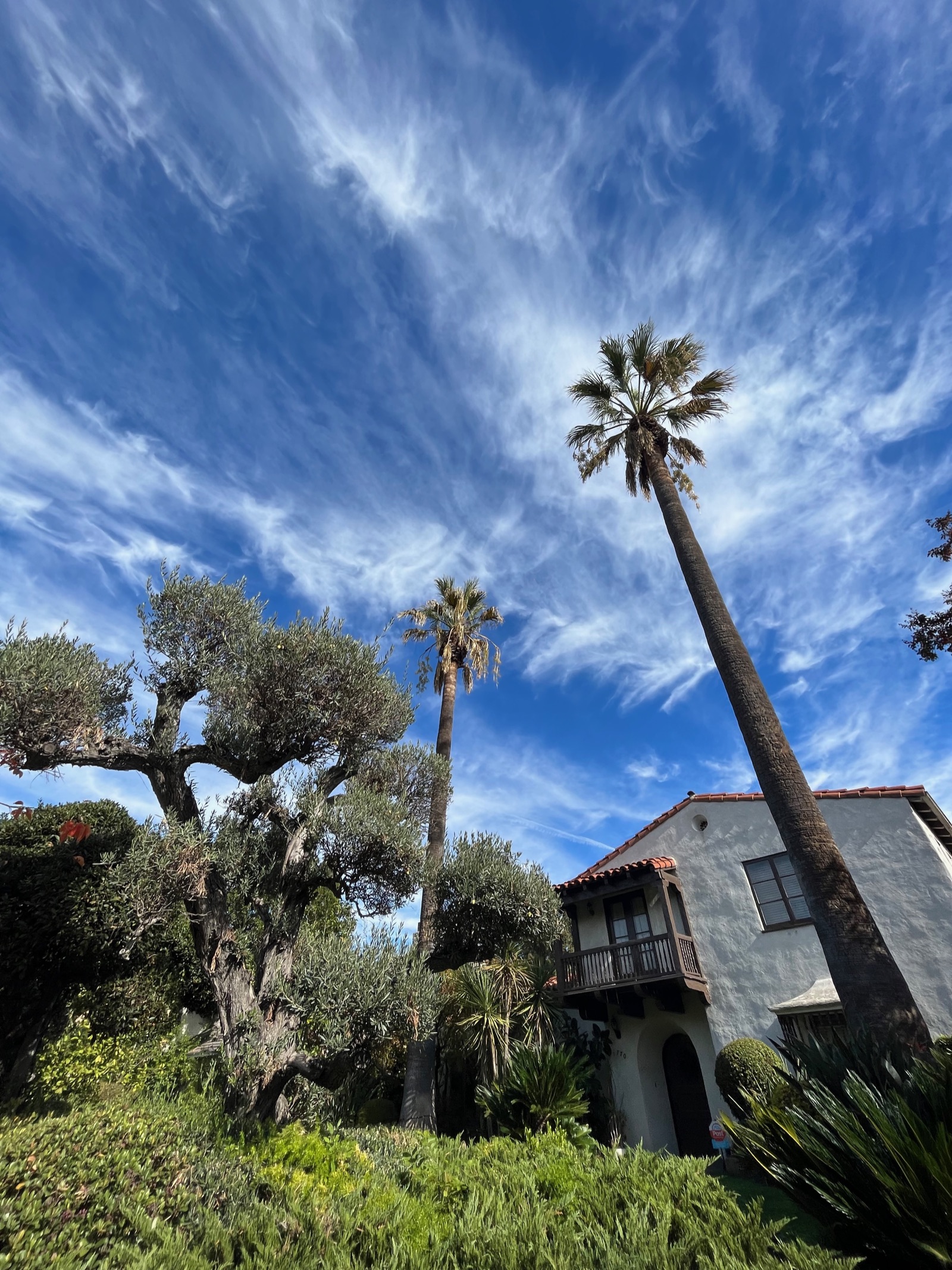 Landscape design in Southern California