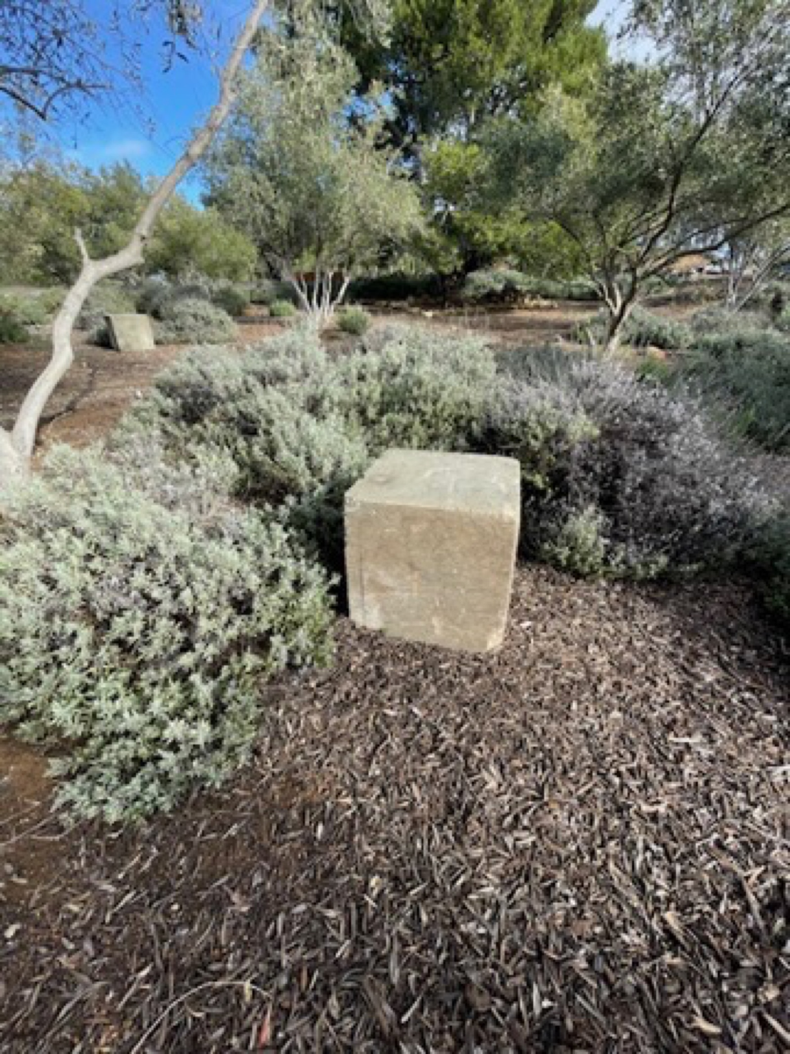 Drought-tolerant garden design
