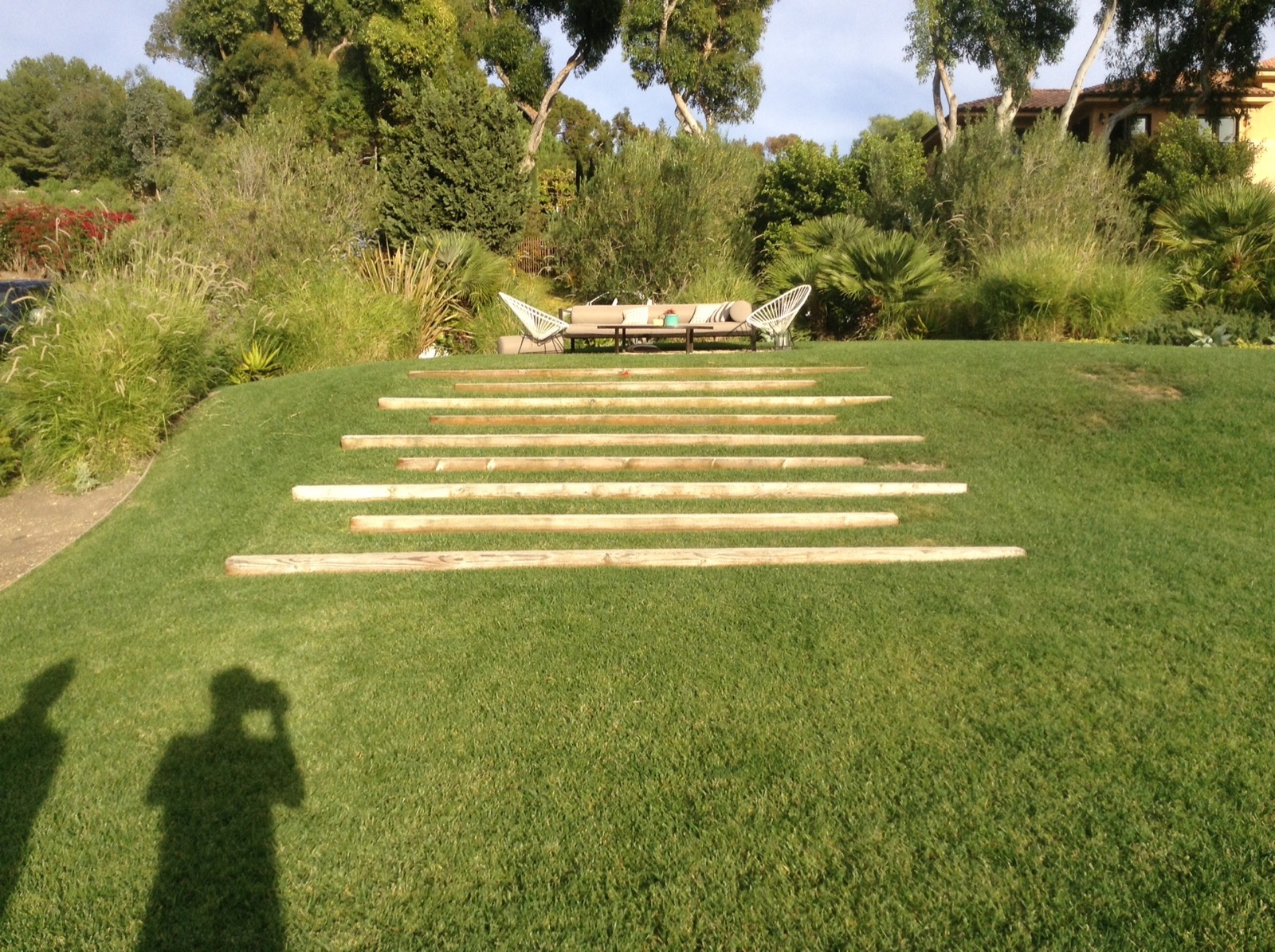 Hillside landscape with timber steps